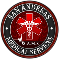 Logo SAMS